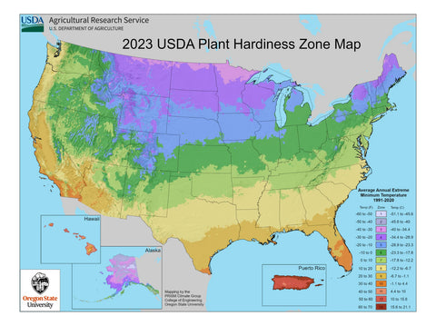 Grow Zones Explained Finding Your Zone for Perfect Plant Picks